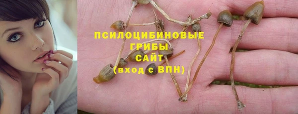 сатива Баксан