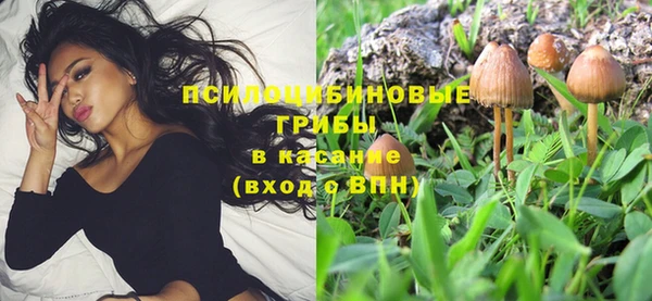 сатива Баксан