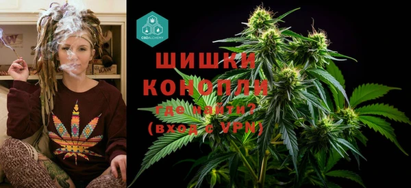 сатива Баксан